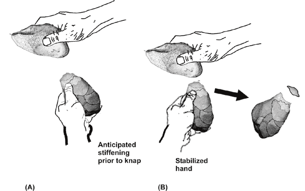 Knapping is illustrated using the reconstructed knapping stones found at Lokalalei 2C (Kenya) (dated, 2.34 Myr) . The refitting group core stone 2 (9.4 cm long) together with hammerstone 2 (9 cm) found at the same site are shown